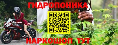 спиды Шебекино