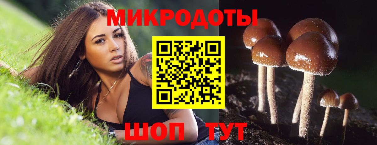 Псилоцибиновые грибы Magic Shrooms  Вход с VPN  Рославль 